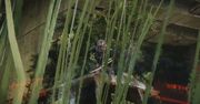 Crysis 3 - buszujący w trawie