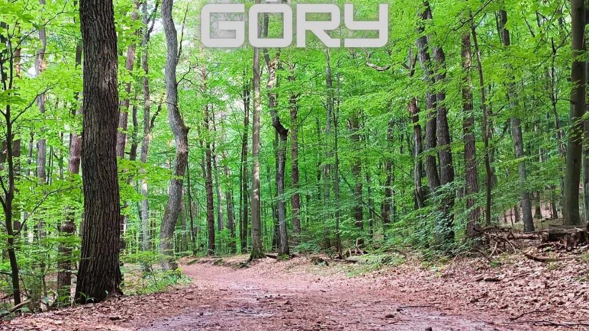 Sokole Góry