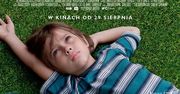 Boyhood