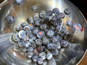 Czy na pewno dobrze myjesz borówki? Sprawdź, zanim znów je zjesz