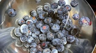 Czy na pewno dobrze myjesz borówki? Sprawdź, zanim znów je zjesz