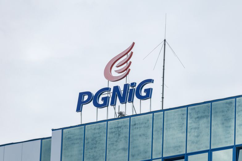 Na zdjęciu logo PGNiG