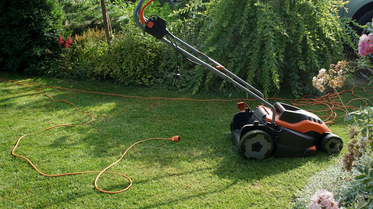 Jak zadbać o trawnik?