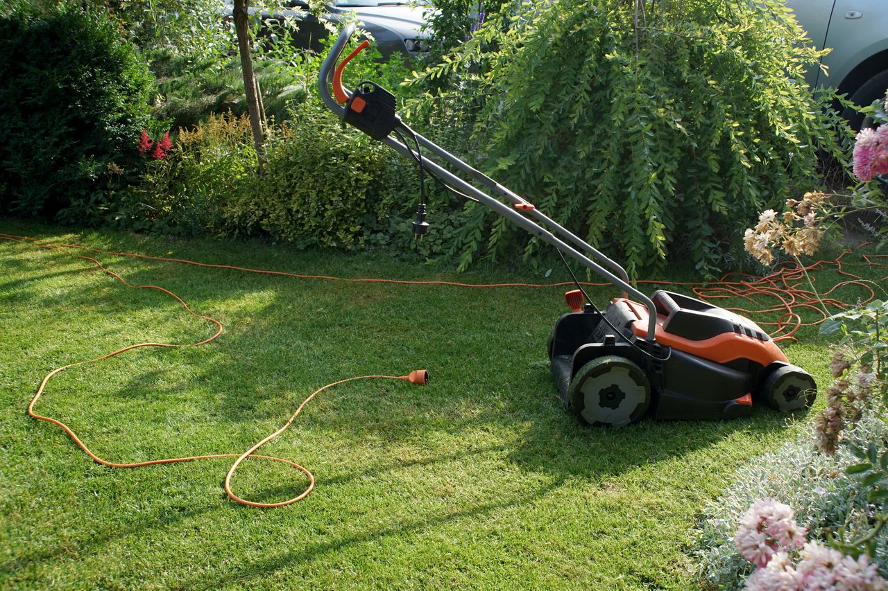 Essential lawn care tips for a lush, green yard
