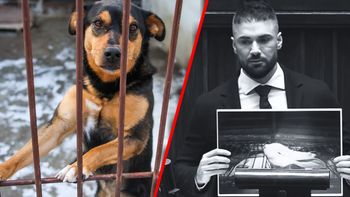 Litewka miał jedno marzenie. Poruszające nagranie z Sejmu