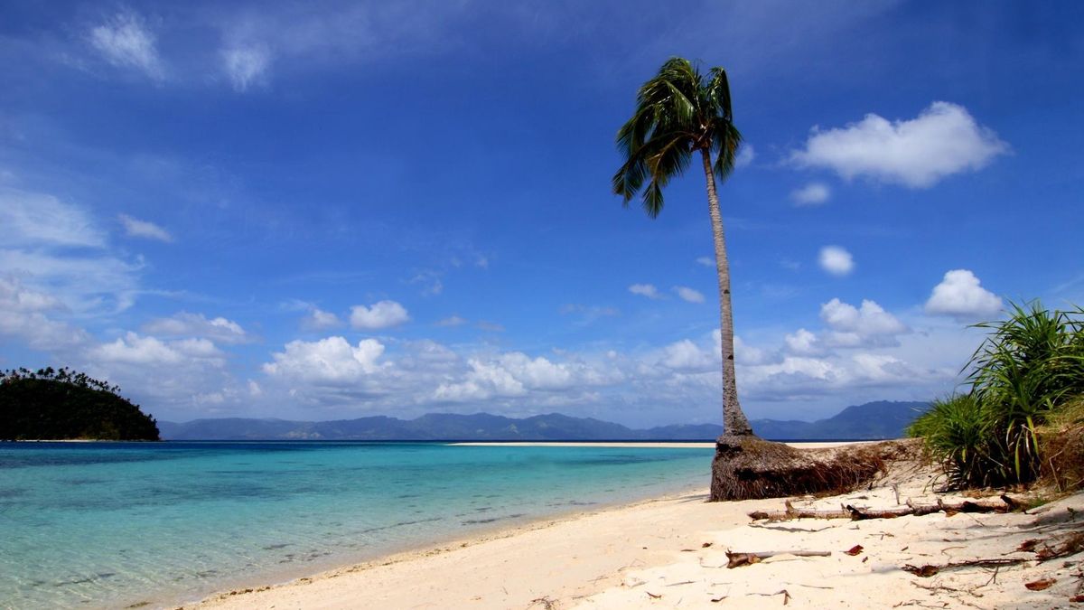 Oszust wyłudzając w Polsce podatek VAT aresztowany na Filipinach