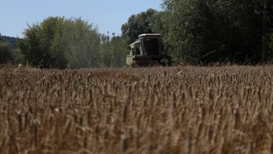 Niektórzy rolnicy mają nawet trzy tygodnie opóźnienia przy żniwach.