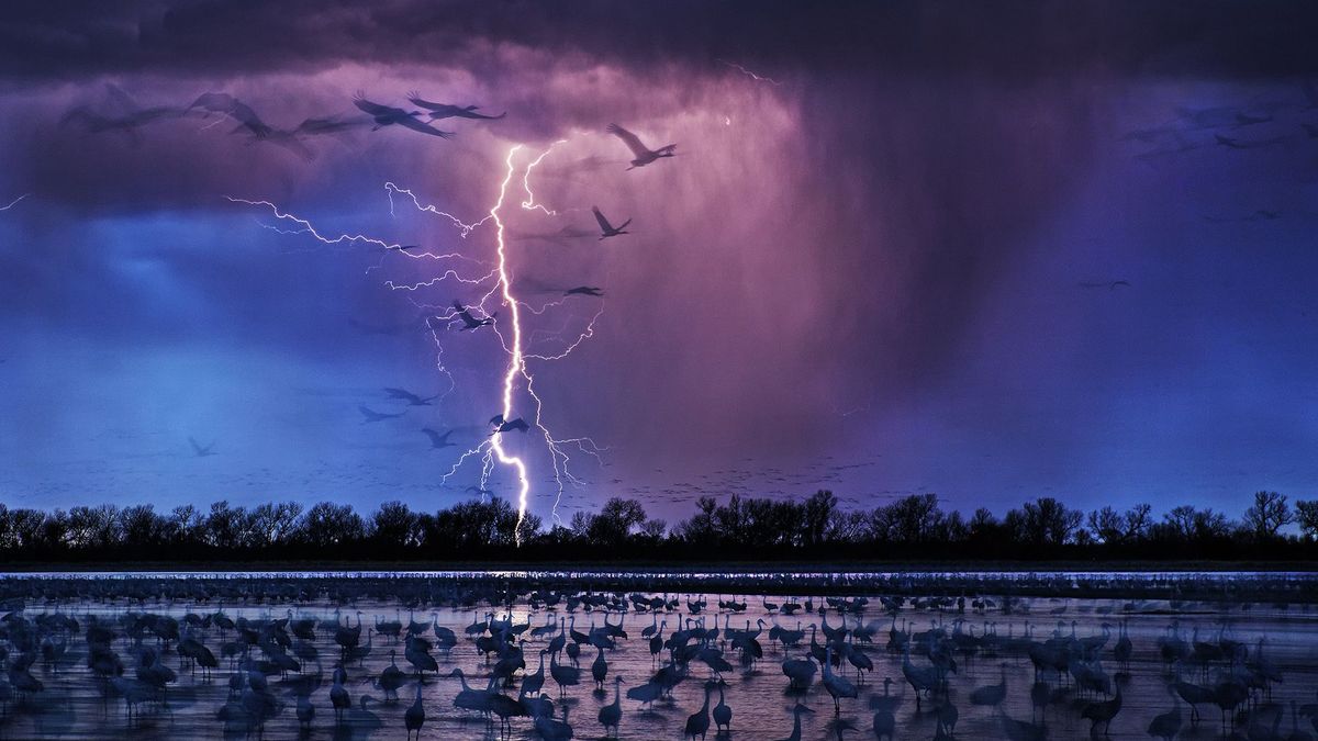 Fotografie zwycięzców Siena International Photo Awards 2017 to wielka inspiracja. Wśród laureatów jest Polak 1