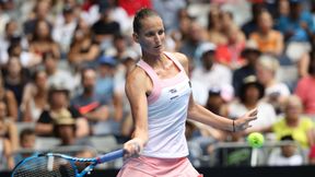 Australian Open: 23 kończące uderzenia w godzinę. Pliskova rozbiła Muguruzę