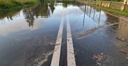 Szczecin: Zalane posesje, połamane drzewa. To skutki nocnych opadów