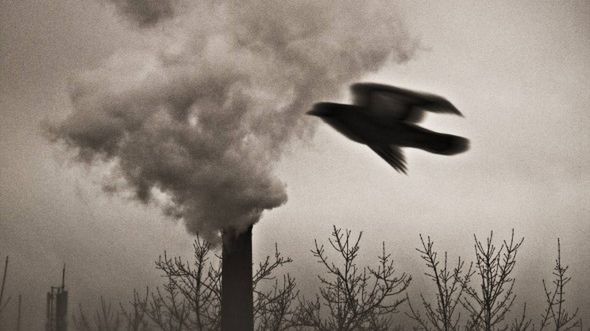 Świat młodych talentów – dzieci z aparatem 1