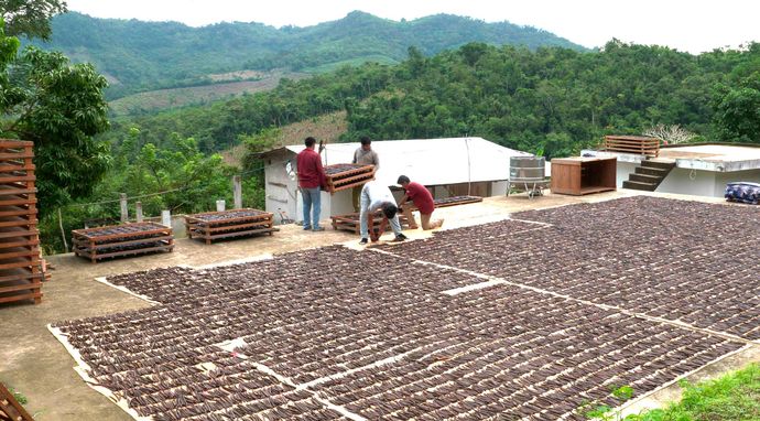 Sekrety świata przypraw 2