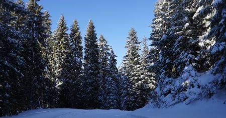Zima atakuje Podhale z pełną mocą! TOPR ogłasza 2. stopień zagrożenia lawinowego - Tatry toną w śniegu, a to dopiero początek!