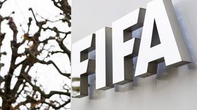 Korupcja w FIFA. Zdefraudowali 130 miliony dolarów