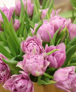 Dzień Kobiet, 8 marca. Najpiękniejsze życzenia dla pań. Pomysły na życzenia