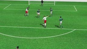 Polska - Irlandia Północna 1:0: zobacz animację gola Milika