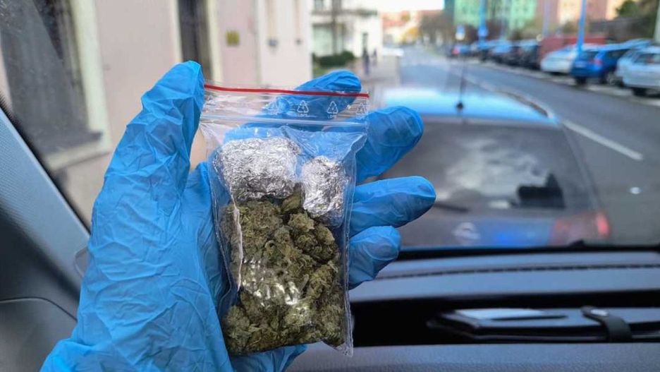 Zgubiła go brudna tablica rejestracyjna (źródło: KMP Legnica)