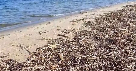 Skarb w stercie patyków. Szła plażą w Jantarze, chwyciła za telefon