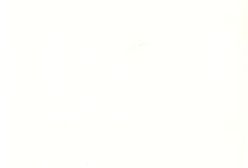 Łabędź i złodzieje