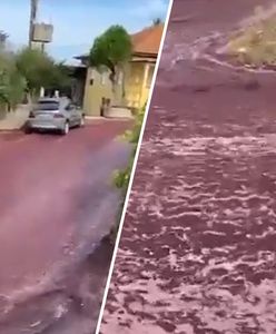 Wino wylało się na ulice. Pękły zbiorniki w Portugalii