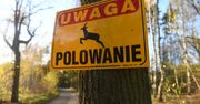Bukowiec: Mieszkańcy mogą zgłaszać sprzeciwy wobec polowania