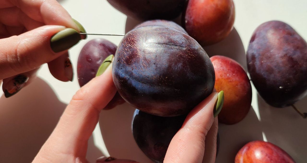 Plum season best recipes: enjoy a plethora of plum delights