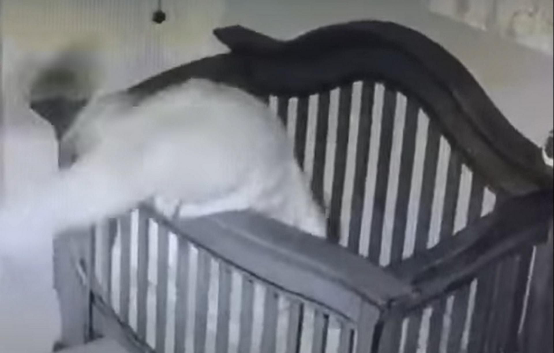 Babcia wpadła do łóżeczka