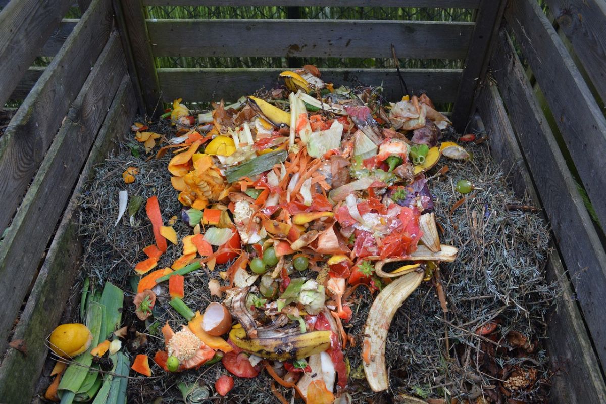 Naturalny kompost 