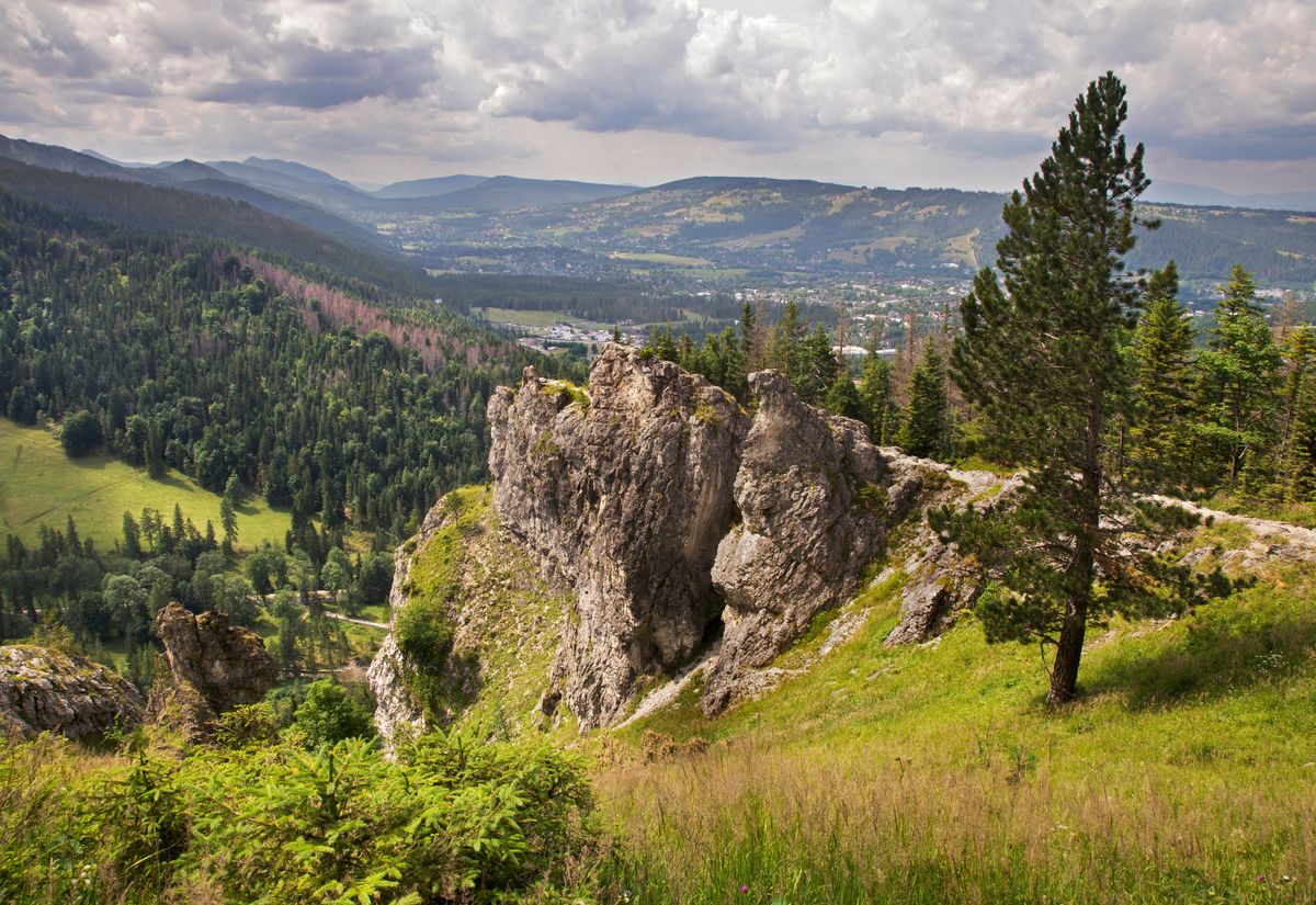 Nosal to popularny tatrzański szczyt o wysokości 1206 m n.p.m.