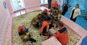 Skoczyła i nie mogła wstać. Strażacy w sali zabaw