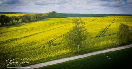 Gmina Szydłowo: Na referendum poszło za mało osób. Decyzję o przyszłości podejmą władze