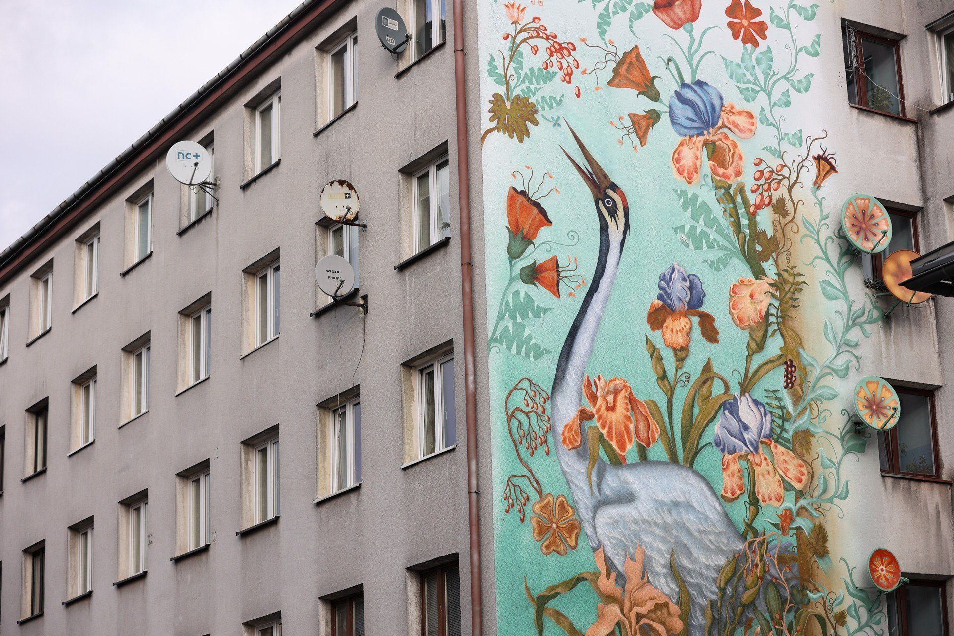 W Krakowie mamy nowy mural, dosłownie wyrósł w Podgórzu