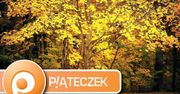 Piąteczek #26: Idzie jesień, gry lecą gęsto