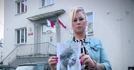 Przygarnęła kota. Teraz grozi jej do 5 lat więzienia
