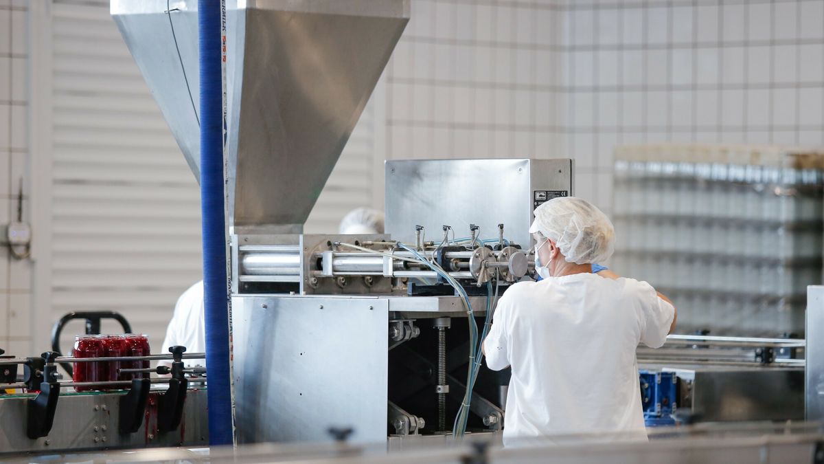 Wizyta premiera w firmie Rolnik w Mikolowie
Fot. Tomasz Kawka/East News, Mikolow (woj. slaskie), 18.06.2021. Wizyta premiera Mateusza Morawieckiego w firmie Rolnik w Mikolowie.
Tomasz Kawka