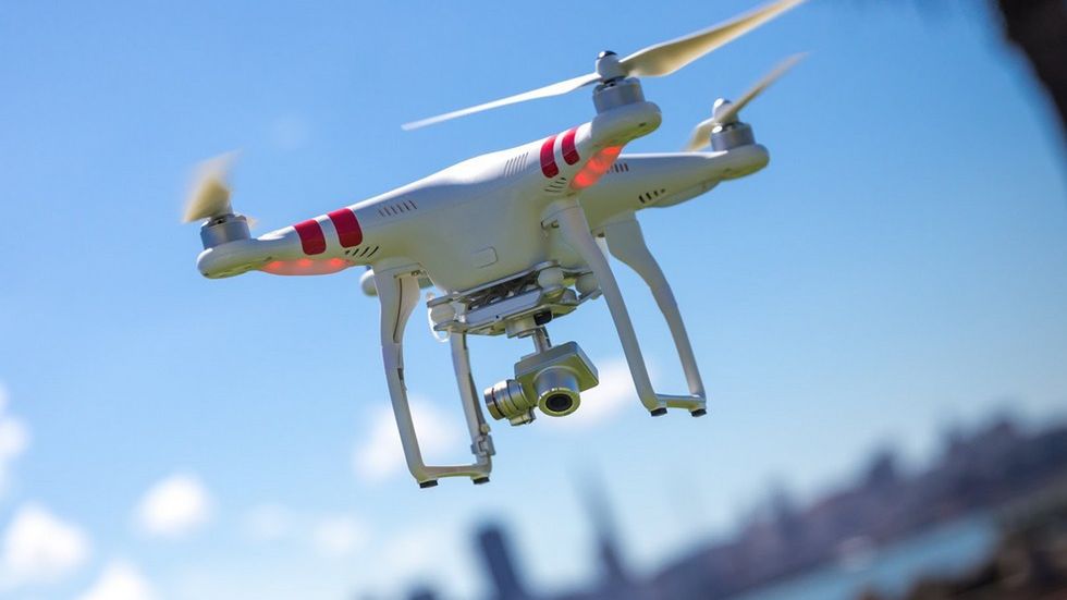 Ludzie kontra drony. Jak bronić się przed latającymi intruzami? Szympansem z patykiem! 1