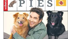 „Tylko zdrowie. Pies” - nowy dodatek do „Gazety Wyborczej”