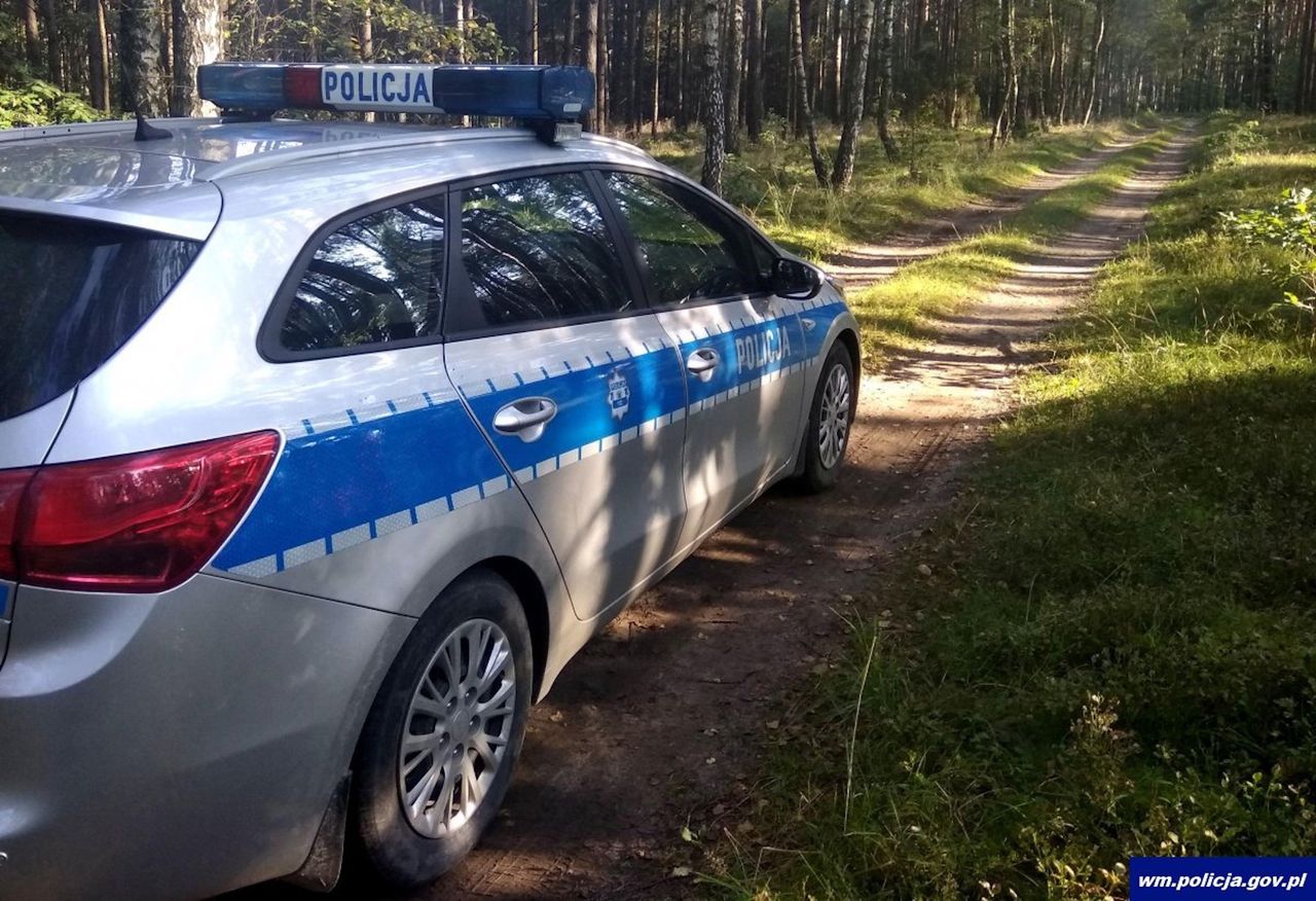 Zbierał jagody w lesie. Szybko tego pożałował. Wrócił z mandatem