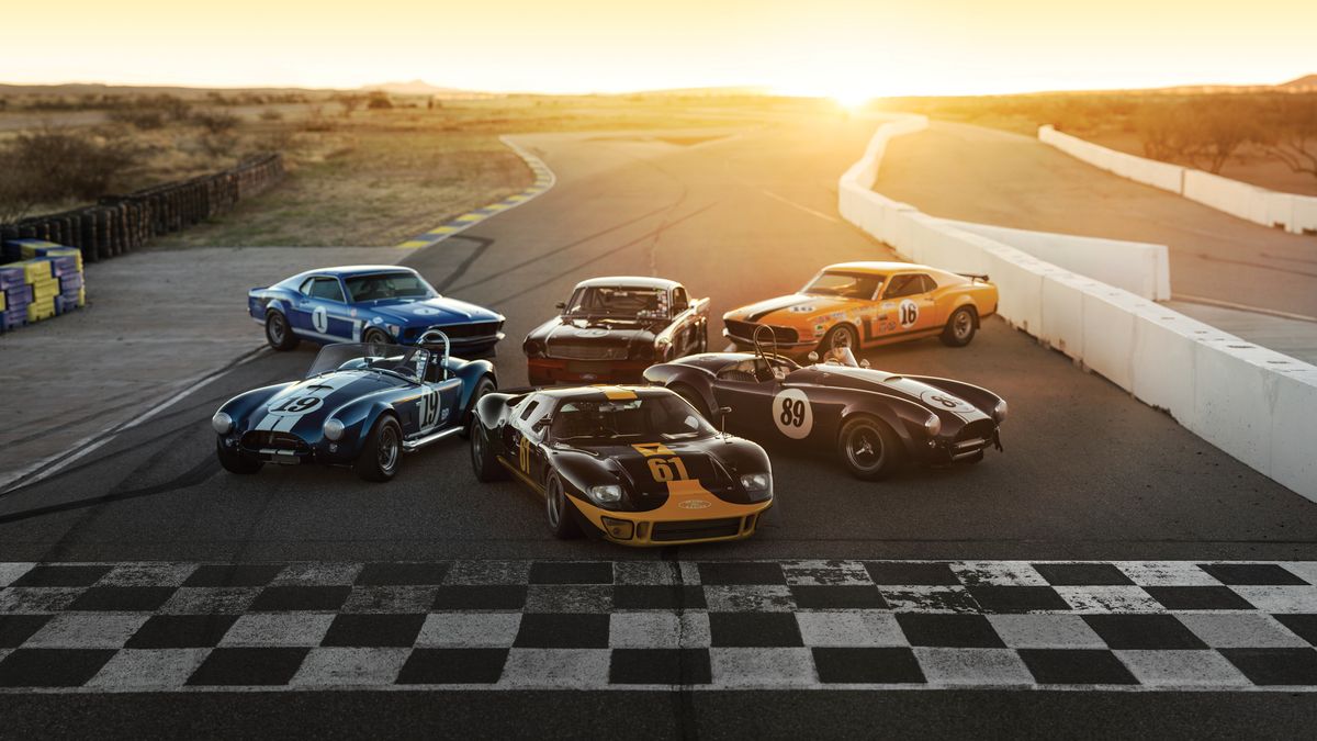 Lista samochodów nie jest długa, ale z pewnością należy do tych najbardziej imponujących. Pod młotek trafią Ford GT40 z 1966 roku, Mustang Boss 302 Trans Am z 1969, Mustang Boss 302 Trans Am z 1970, Shelby 289 Cobra z 1964 w liczbie dwóch egzemplarzy oraz Shelby GT350 z 1966.