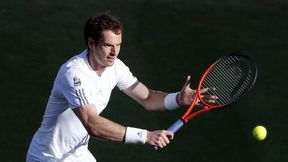 ATP Londyn: Andy Murray po raz czwarty triumfatorem zawodów w Queen's Clubie
