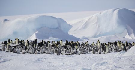 Nawet 7 mln ton. Gigantyczne źródło metanu na Antarktydzie