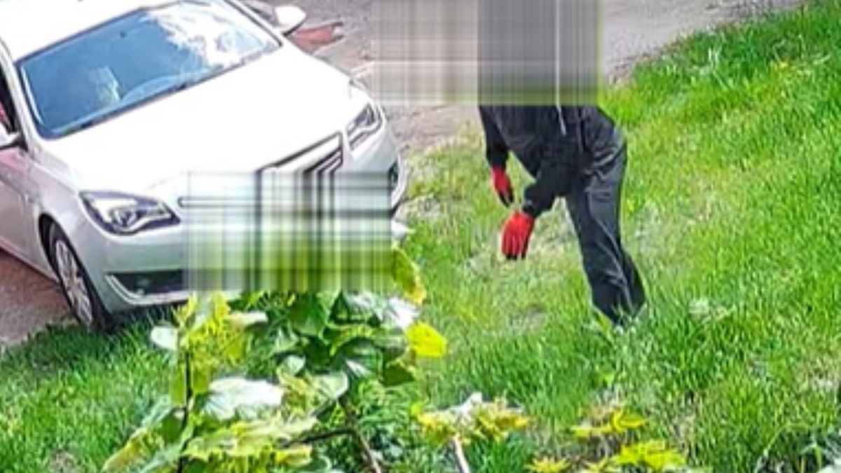 Został przyłapany na wyrzucaniu śmieci.