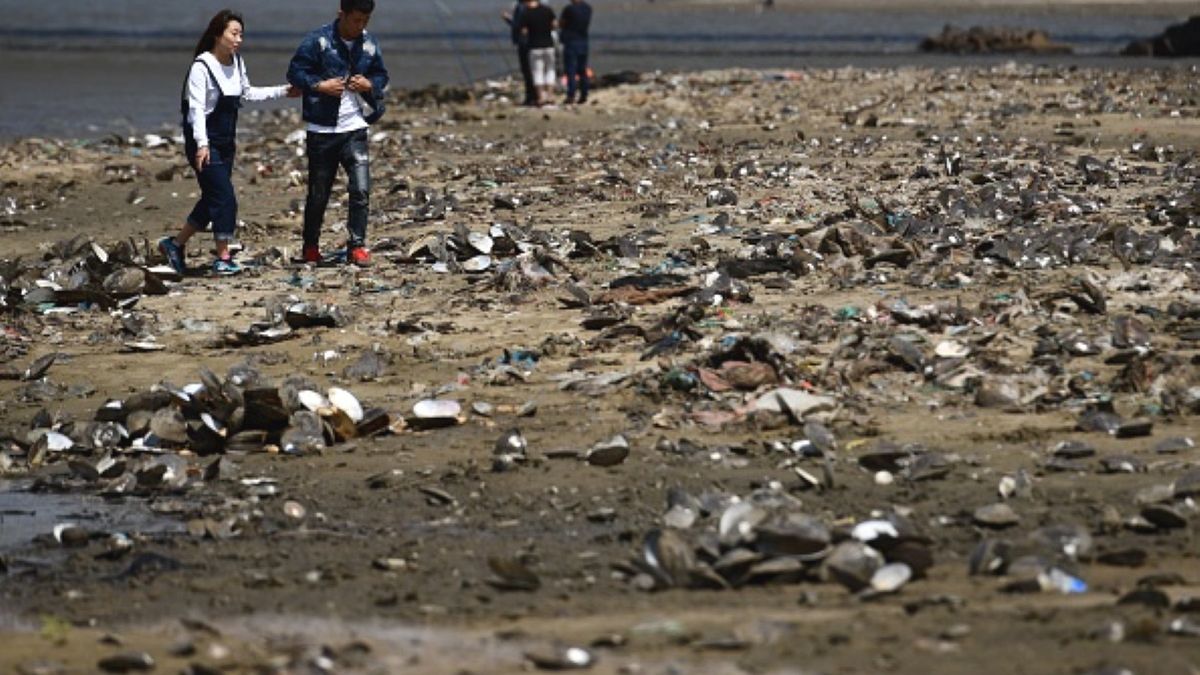 Susza niesie za sobą katastrofalne skutki. Chińczycy szukają rozwiązania problemu