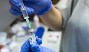 "Newsroom". Program specjalny WP