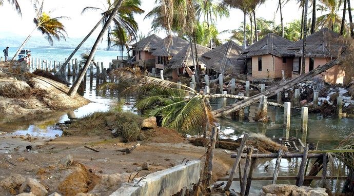 Tsunami: Wyścig z czasem