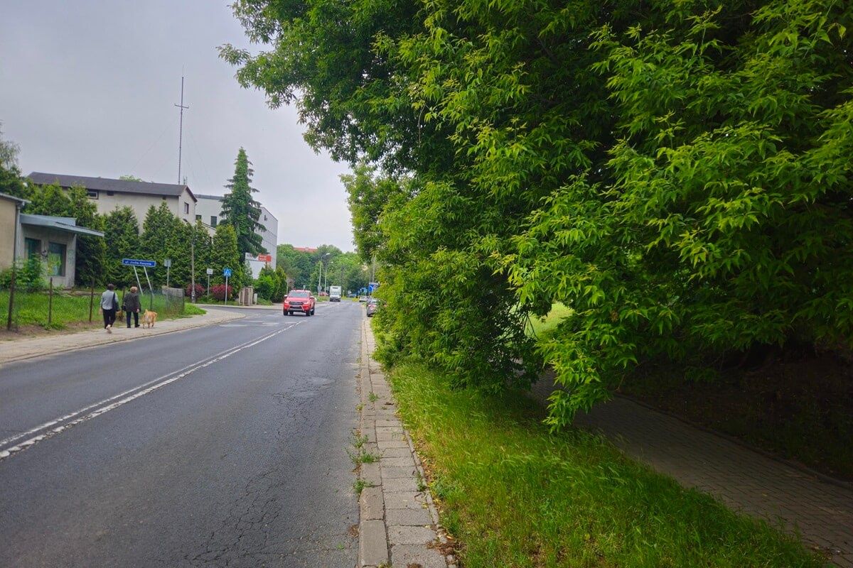 Zasłonięty przez gałęzie znak drogowy przy ul. Walecznych
