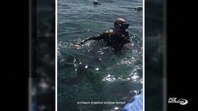 Nurkowanie Jarosława Hampela