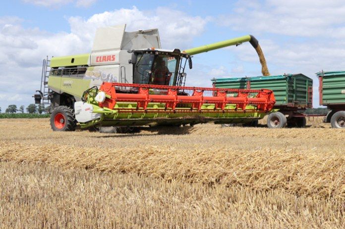 Żniwa 2025: Rolnicy mówią o najtrudniejszym sezonie od lat