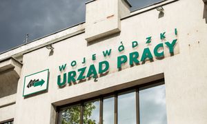 Bezrobocie w Polsce. Są najnowsze dane