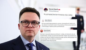 Lawina komentarzy po słowach Hołowni. "Bocian lepiej troszczy się o żabę"